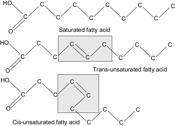 Schematic of saturated fatty acid, trans fatty acid, and unsaturated fatty acid