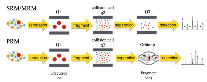 Introduction on Selected / Multiple Reaction Monitoring and Parallel Reaction Monitoring