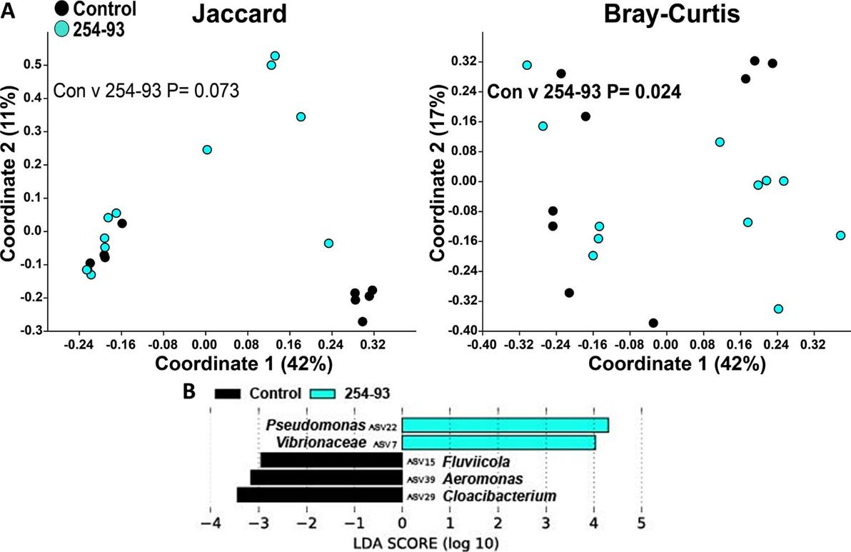 PCoA plot showing β-diversity of zebrafish intestinal microbiome post V. cholerae 254-93 infection.