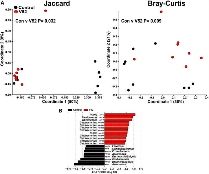 PCoA plot depicting β-diversity of zebrafish intestinal microbiome after V. cholerae V52 infection.