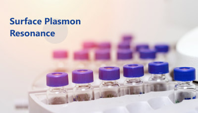 Surface Plasmon Resonance