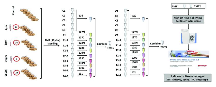 Tandem Mass Tag (TMT) Technology in Proteomics