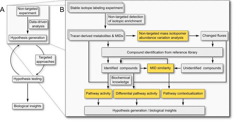 Figure 2. Workflow for non-targeted mass isotopolome analysis.