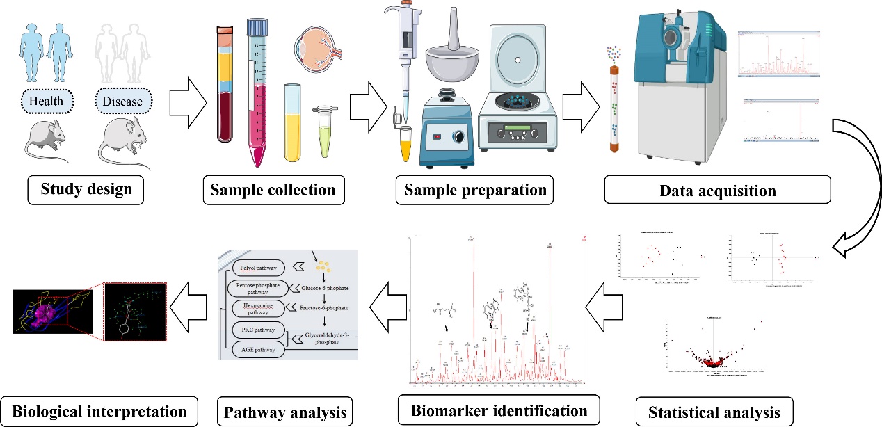 TCA Cycle Analysis Service