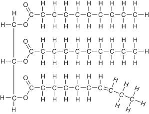 Triacylglycerol molecule.