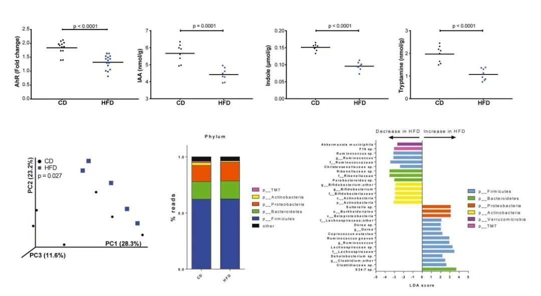 Tryptophan Metabolism Analysis Service