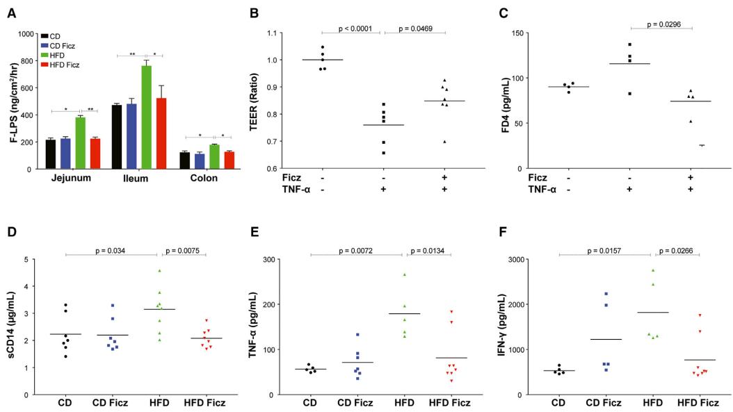 Tryptophan Metabolism Analysis Service