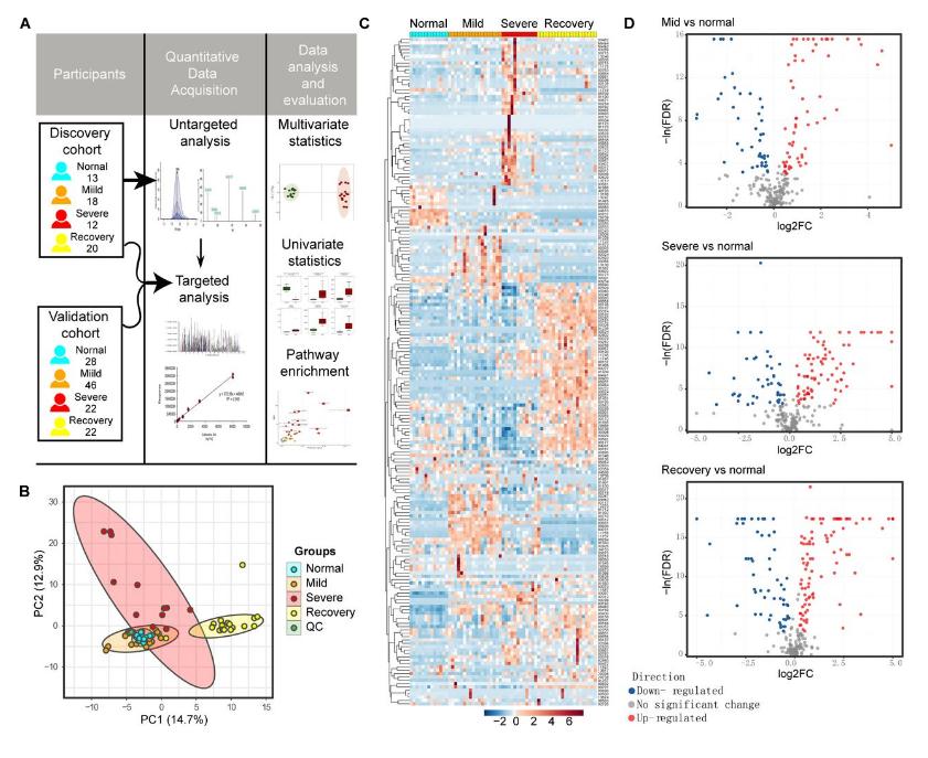 Figure 1. Untargeted metabolomics analysis of serum from healthy control (Normal) and mild, severe, and recovery group patients.