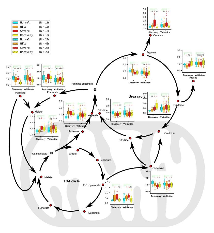 Unraveling COVID-19 Pathogenesis through Metabolomics Analysis