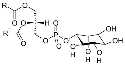 Unraveling Phosphatidylinositol: Mass Spectrometry and Its Biological Significance