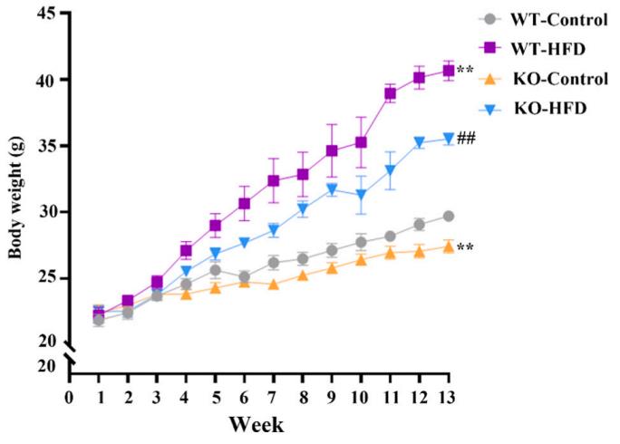 Figure 1: All four groups of patients showed changes in body weight, with significant differences in body weight at the end of the experiment.