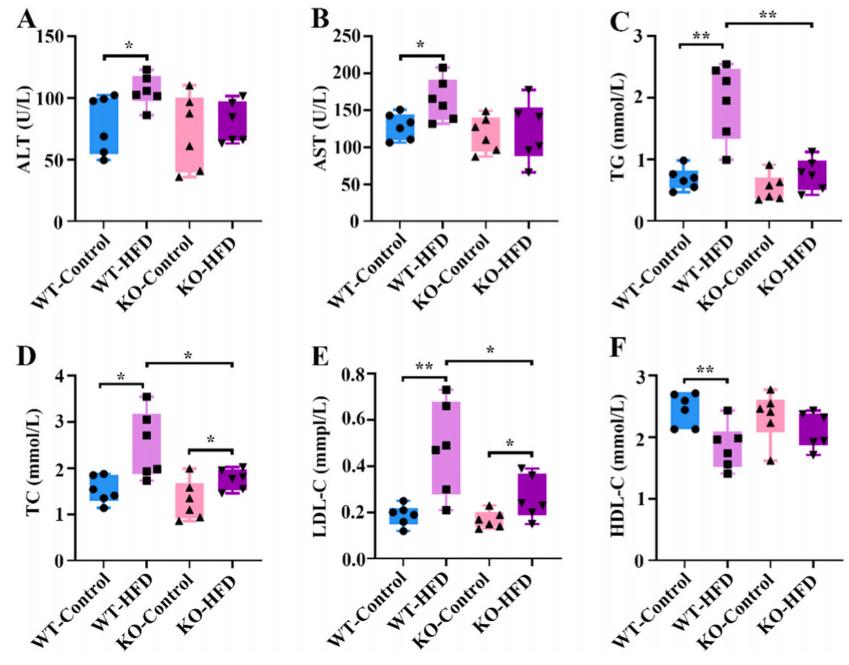 Figure 2: Serum Indexes Among Groups