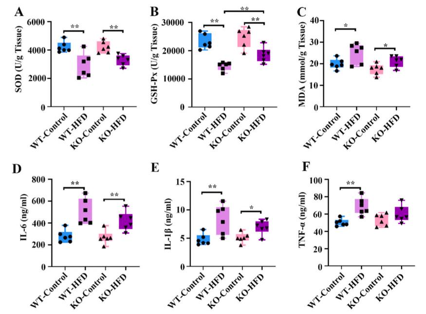 Figure 3: Oxidative Stress and Pro-inflammatory Factors Among the Four Groups of Patients