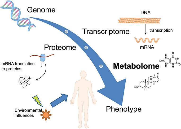 Different omics-sciences