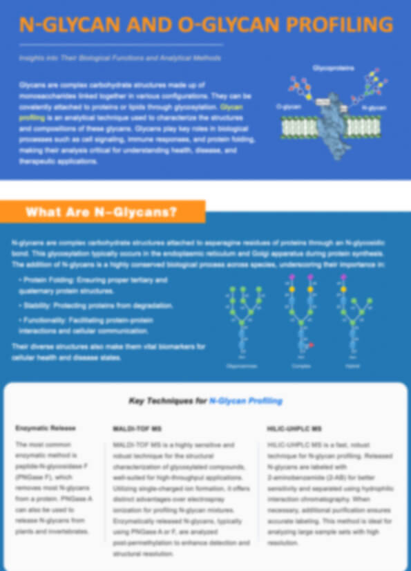 N-Glycan and O-Glycan Profiling