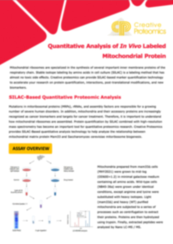 Quantitative Analysis of In Vivo Labeled Mitochondrial Protein